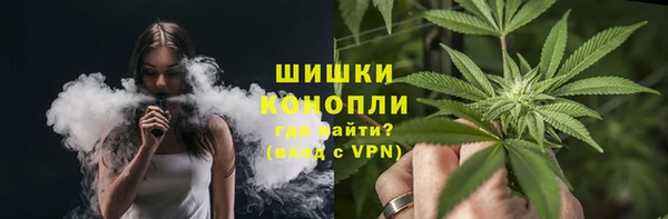 шишки Алзамай