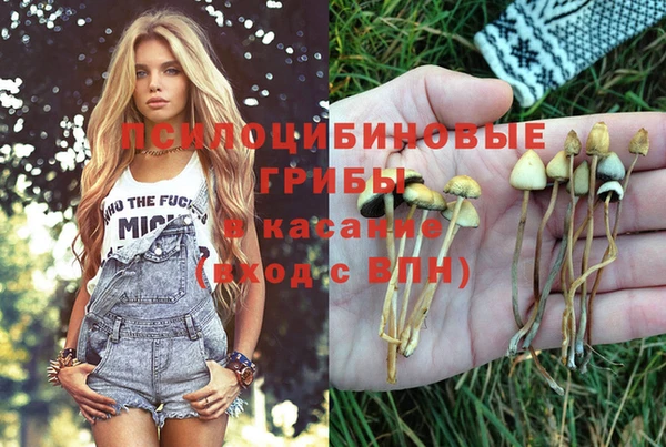 гашиш Алексин