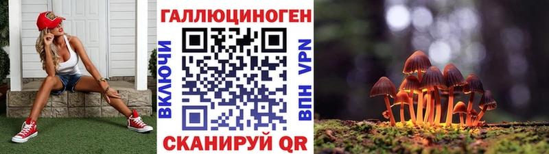 купить закладку  mega ссылки  Псилоцибиновые грибы Magic Shrooms  Кострома 